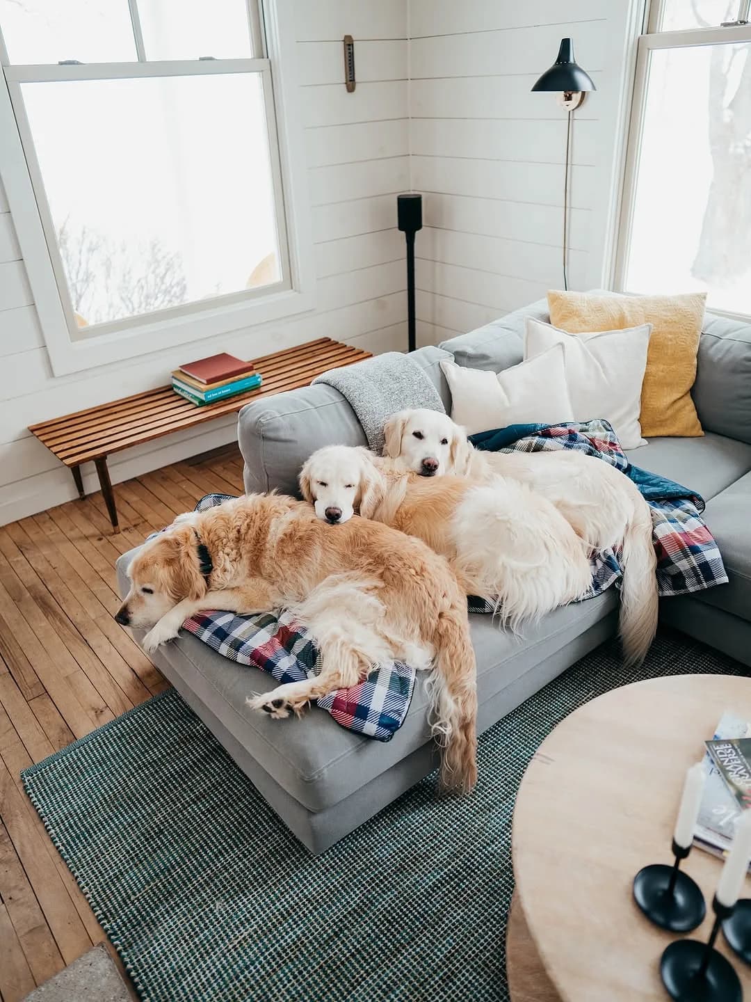 The only acceptable way to spend January if you ask me ✨
#goldenretrieverlove #cuddlepuddle #dogfriendly #airbnb #puremichigan